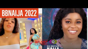 Chichi BBNaija Biography: Age, Real Name, Career, and State of Origin