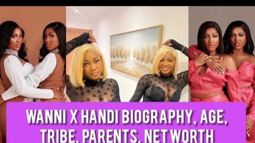 Who Are Wanni and Handi? A Complete Biography