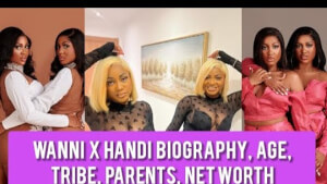 Who Are Wanni and Handi? A Complete Biography