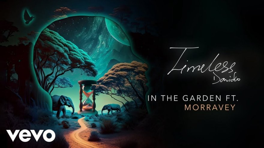 Morravey Biography: Real Name, Music Career, and Davido Music Worldwide Morravey Biography: Who Is the Nigerian Singer Behind Davido's "In the Garden"?